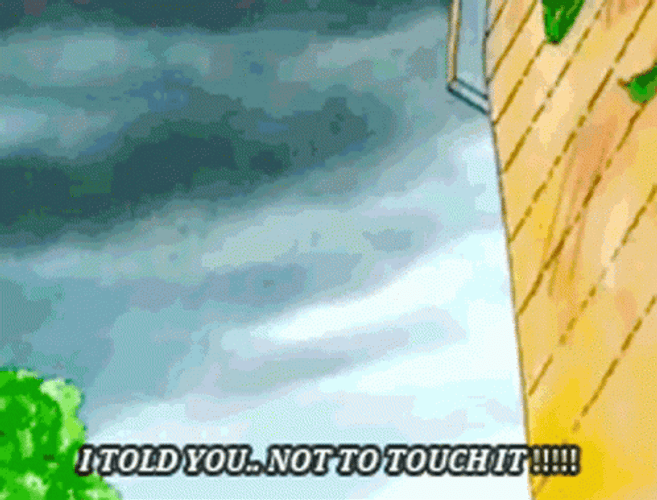 I Told You Dont Touch Me GIF