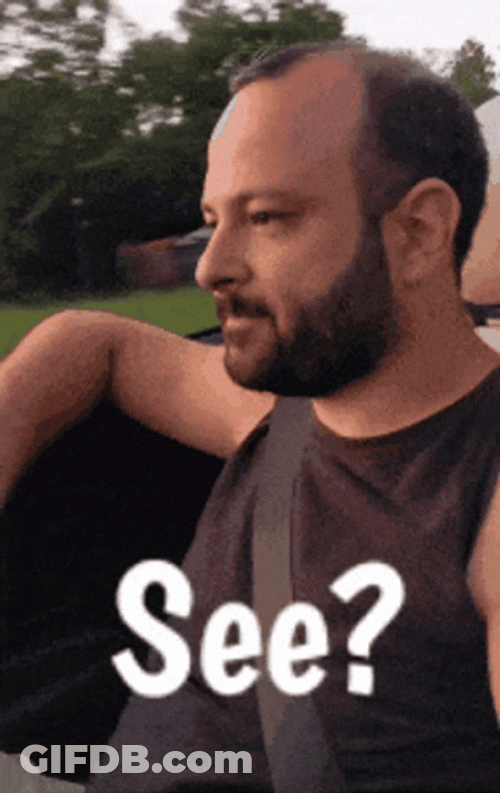 I Told You So Man In Car GIF