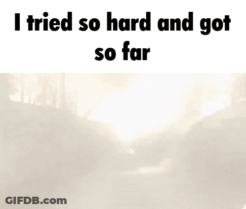 I Tried So Hard And Got So Far Sun Shining Through Trees GIF