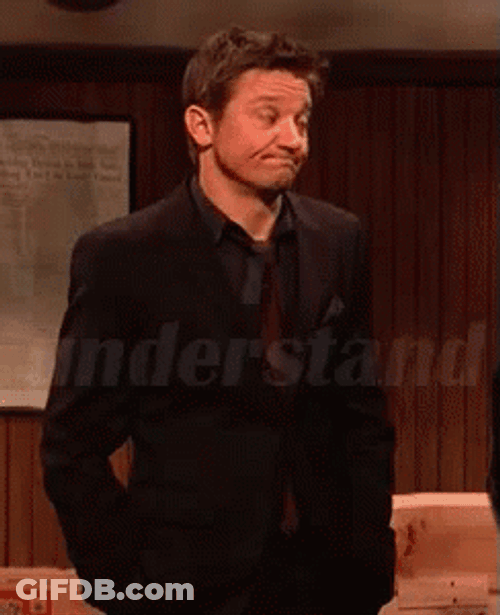 I Understand Jeremy Renner GIF