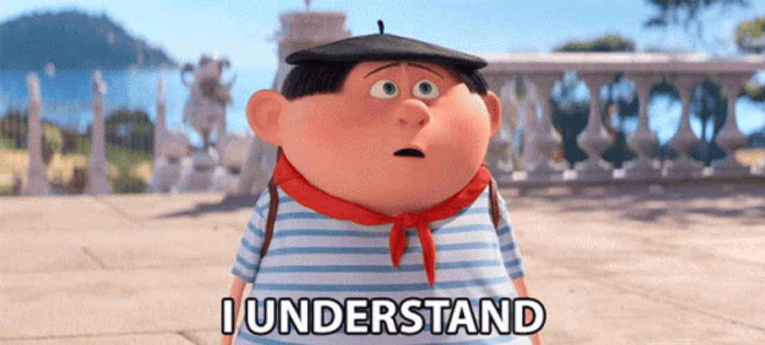 I Understand Niko Despicable Me GIF