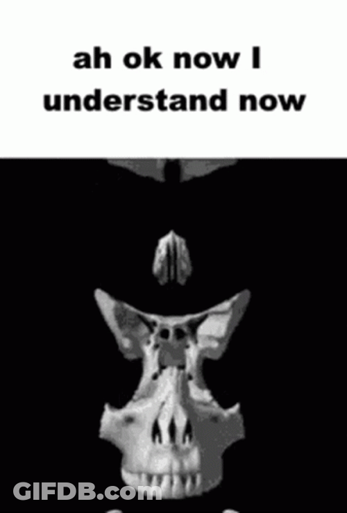 I Understand Now Skull GIF