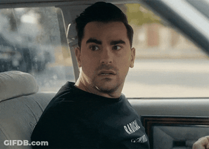 I Understood That Reference David Rose Schitts Creek GIF