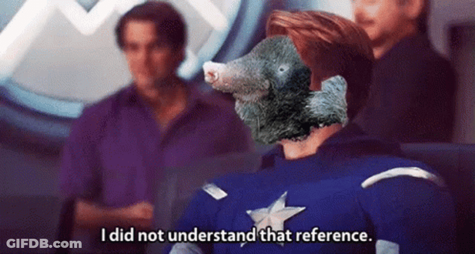 I Understood That Reference Swine Face Swap GIF