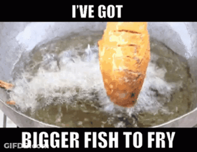 I've Got Bigger Fish To Fry GIF