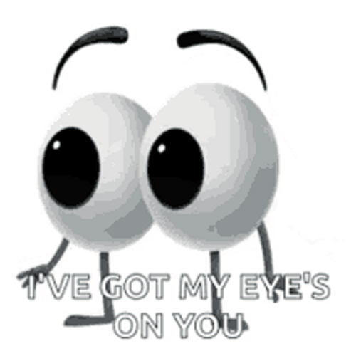 I've Got My Eyes On You Eyeball GIF