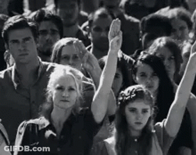 I Volunteer As Tribute Everdeen Family Salute GIF