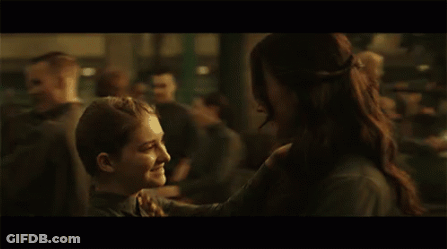 I Volunteer As Tribute Mocking Jay Sister Hug GIF
