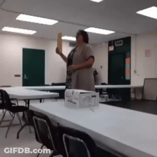 I Volunteer As Tribute School Class Katniss Parody GIF