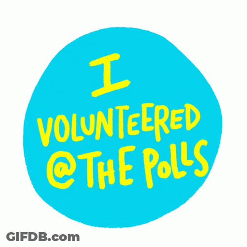 I Volunteered The Polls GIF