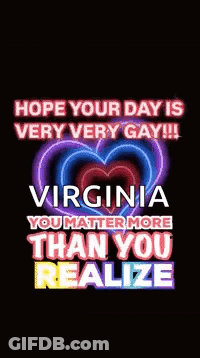 I Voted Early In Virginia Have You Button GIF