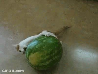 I Voted Green #1 Sign GIF