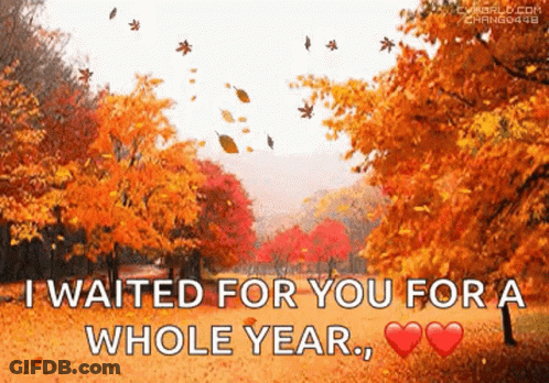 I Waited For You For A Whole Year , Hearts . GIF