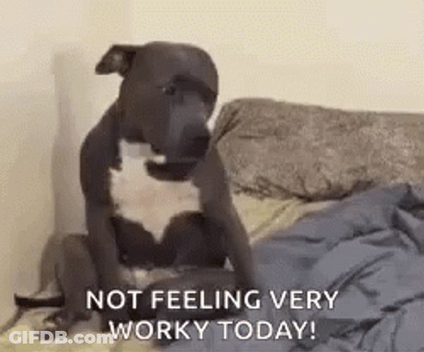 I Wanna Go Home GIF