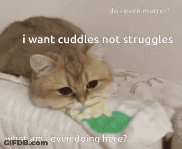 I Want Cuddles Not Struggle GIF