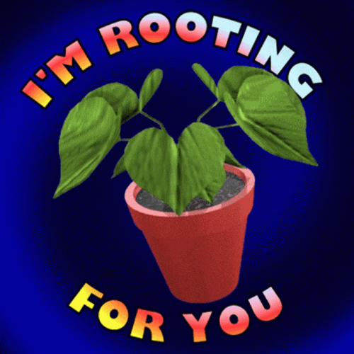 I Was Rooting For You Spinning Betel Plant GIF