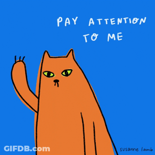 I Will Not Be Ignored Pay Attention GIF