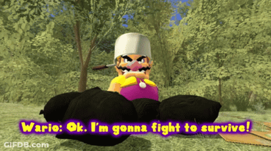 I Will Survive Wario From Super Mario GIF