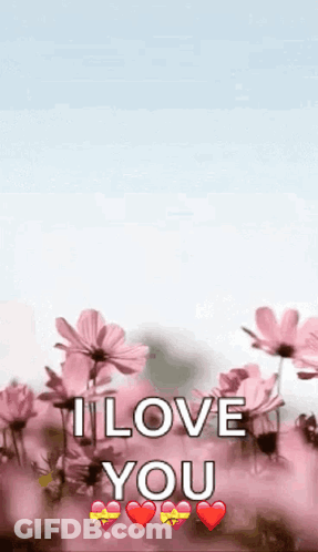 I Wish You A Nice First Advent Candle GIF