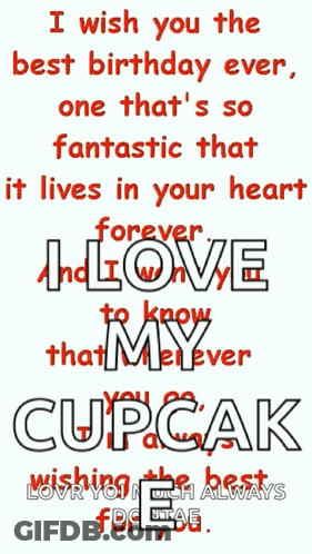 I Wish You The Best Birthday Ever And One That 'S So Fantastic That It Lives In Your Heart Forever GIF