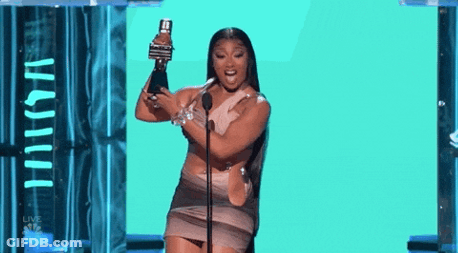 I Won By Megan Thee Stallion GIF