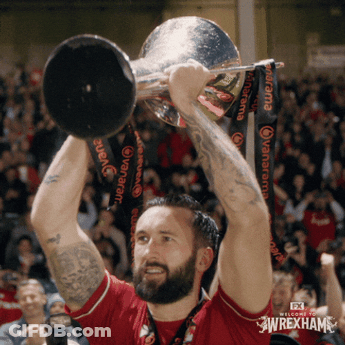 I Won By Ryan Reynolds GIF