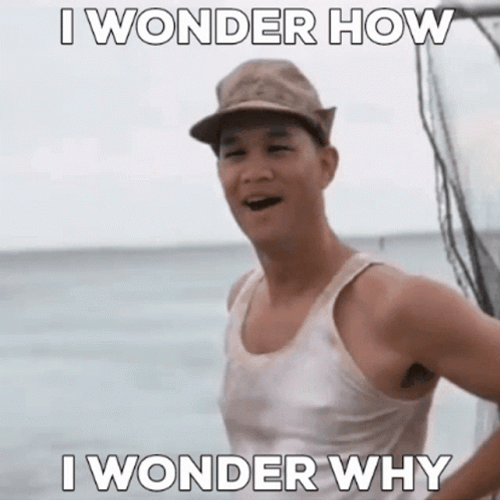 I Wonder How I Wonder Why GIF