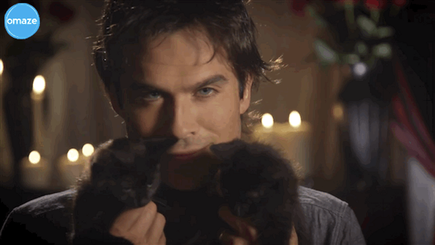 Ian Somerhalder Holding A Kitten GIF