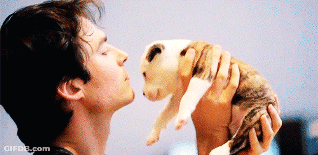 Ian Somerhalder Kissing A Puppy GIF