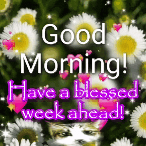 Ianicorngif Good Morning GIF