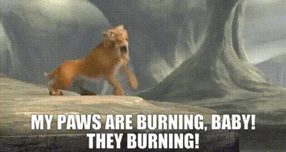 Ice Age Diego GIF
