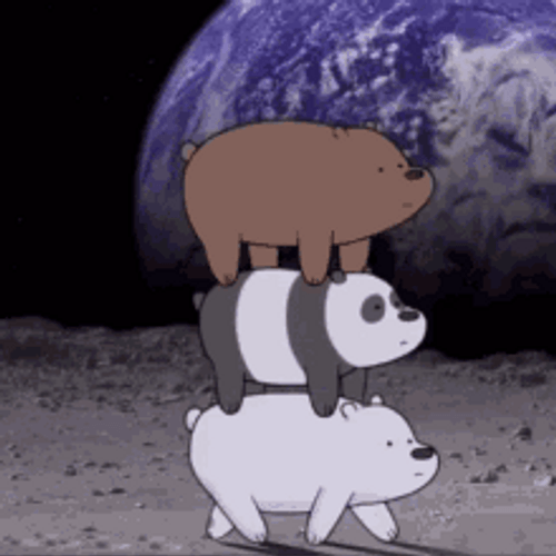 Ice Bear Grizzly Panda On The Moon Top GIF