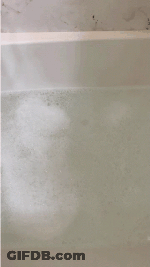 Ice Bear Stuffed Toy Bathtub GIF