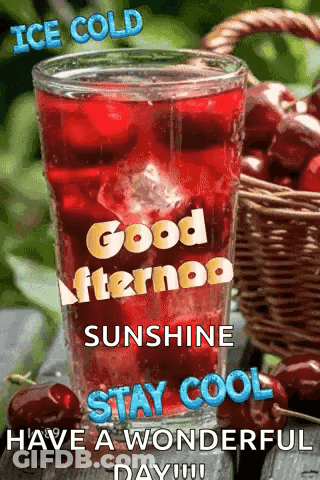 Ice Cold Good Afternoon Sunshine Stay Cool Have A Wonderful Day ! GIF