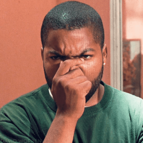 Ice Cube Are You Kidding Me GIF