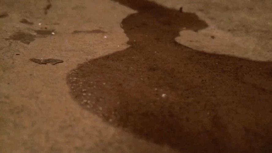 Ice Cube Melting Reverse GIF
