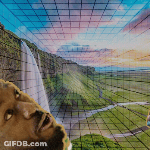 Ice Cubes Being Deep Fried GIF
