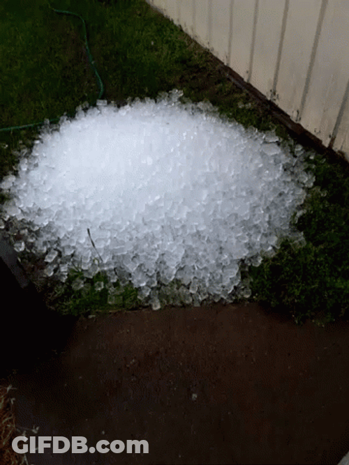 Ice Cubes Puddle GIF