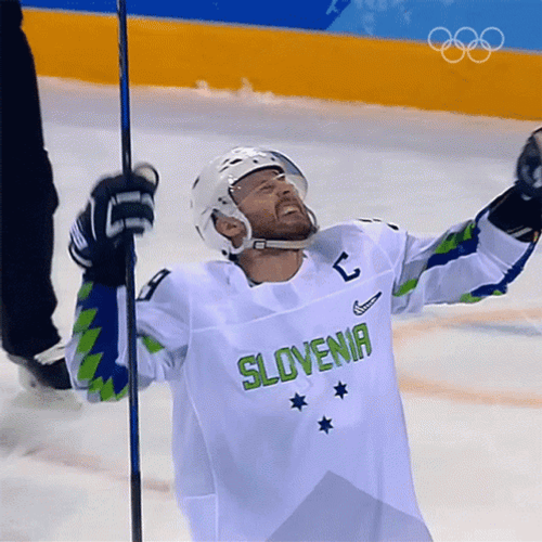 Ice Hockey Player From Slovenia GIF