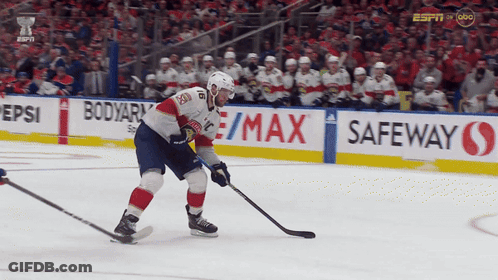 Ice Hockey Player Number 28 GIF