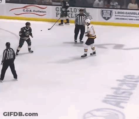 Ice Hockey Players Fighting GIF