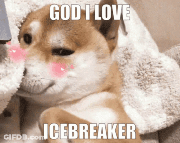 Icebreaker Shiba Inu Blush GIF