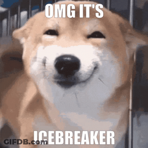 Icebreaker Smiling Shiba Inu GIF