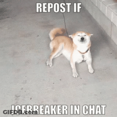 Icebreaker Wriggly Tail Shiba GIF
