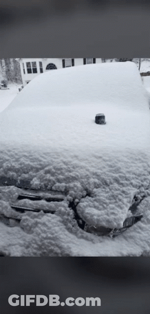 Iced Busch Light GIF