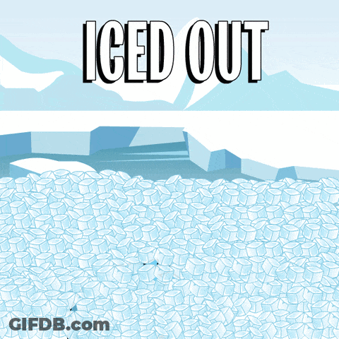 Iced Out Penguin With Baseball Cap GIF