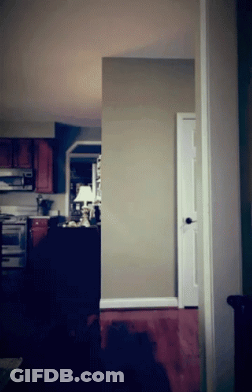Ickey Shuffle Side Slide Dance GIF