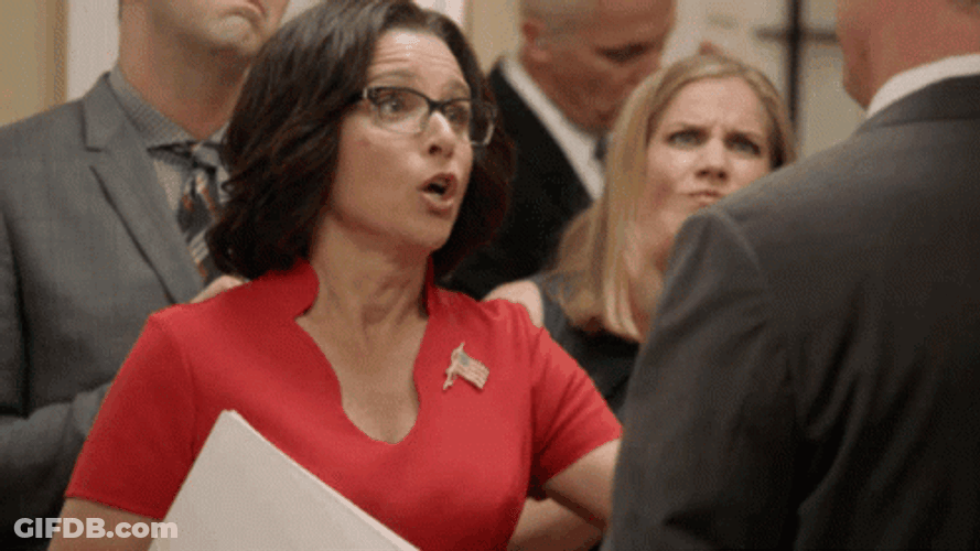 Iconic Veep Selena Meyer Nincompoop GIF