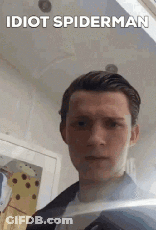 Idiot Spiderman Marvel GIF