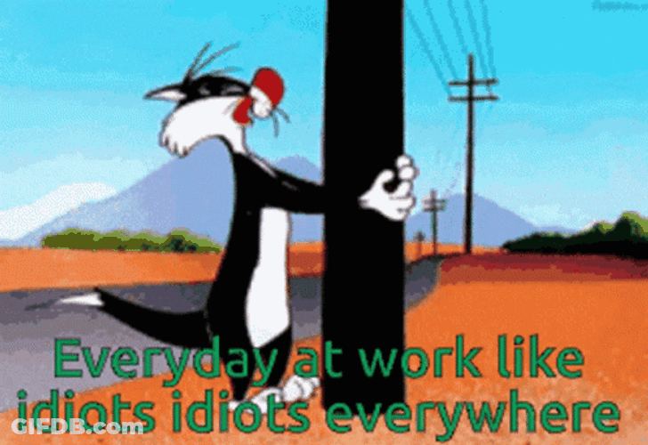 Idiot Sylvester Bumping Head On Post GIF